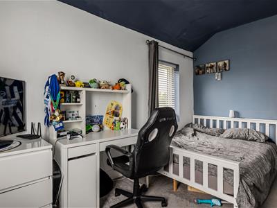 Picture 19
